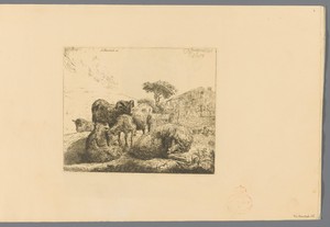 Groep van vijf schapen