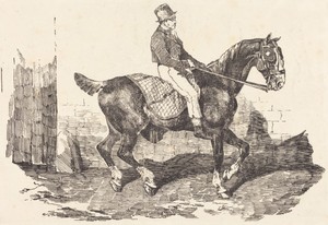 Groom Mounted on a Carriage-Horse (Cheval de carrosse monte par un palfrenier)