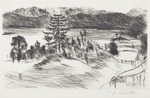 Grosse Walchenseelandschaft (Large Walchen Sea Landscape)