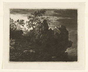 Grote rotspartij bij rivier