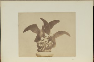 Group of Eagles