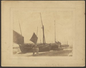 Group of Pilchard Boats