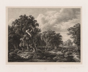 Groups of Various Plants Drawn After Nature:  No. 7