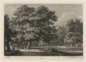 Grove of Trees by the Fish House, near Dresden
