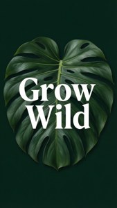 Grow Wild Monstera