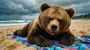 Grumpy Beach Vacation