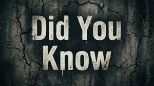 Grunge Did You Know
