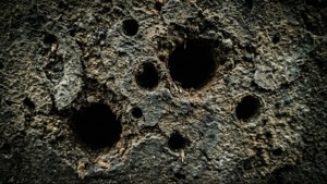 Grunge Termite Holes