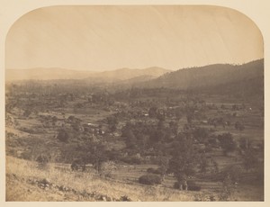 [Guadelupe Valley]
