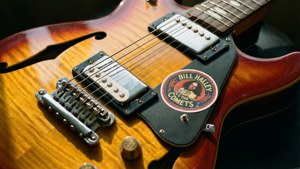 Guitar Detail Sticker