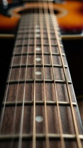 Guitar Fretboard