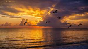 Gulf Shores Sunset Serenity