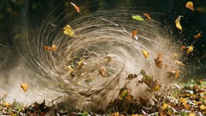 Gust of Wind Swirl