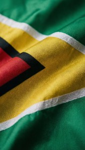 Guyana Flag Texture