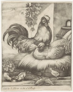 Haan en hen