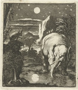 Haas en olifant met volle maan bij een waterbron