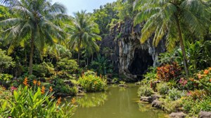 Hallim Park Oasis