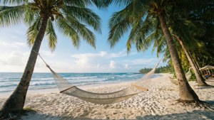 Hammock Haven