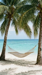 Hammock Paradise
