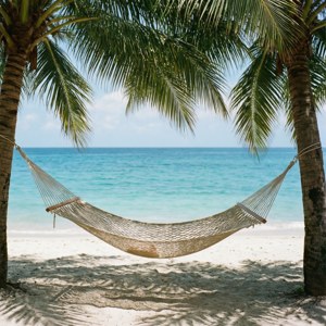 Hammock Paradise