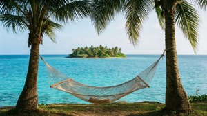Hammock Paradise