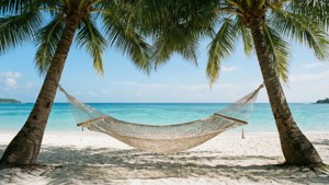 Hammock Paradise
