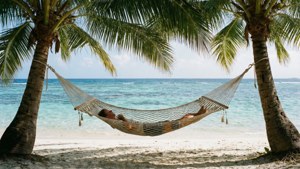 Hammock Paradise
