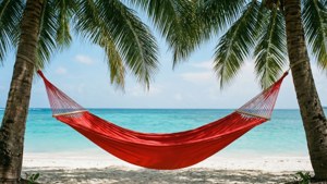 Hammock Paradise