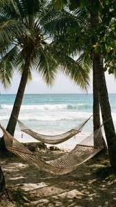 Hammock Relaxation
