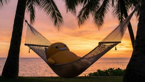 Hammock Sunset