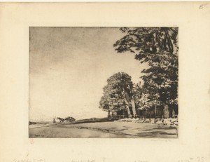 Hampstead Heath