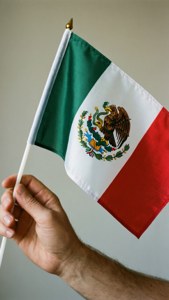 Hand Holding Flag