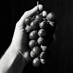Hand Holding Grapes