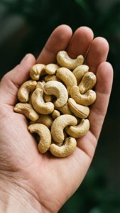 Handful of Cashews