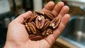 Handful of Pecans