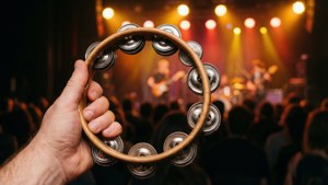 Handheld Concert Tambourine