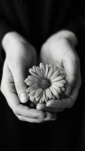 Hands Holding Flower