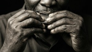 Hands of the Harp