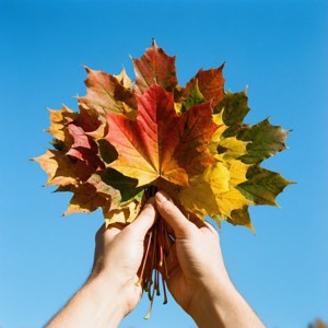 Hands with Maple Leaves