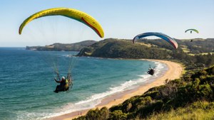 Hang Gliders Overhead