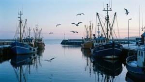 Harbor Dawn Serenity