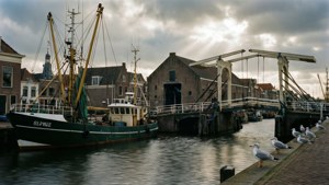 Harbor Life Scene