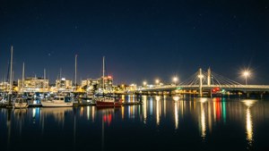 Harbor Night Lights