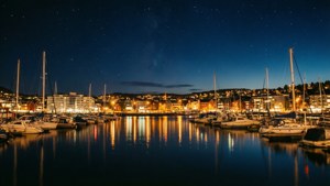 Harbor Night Lights