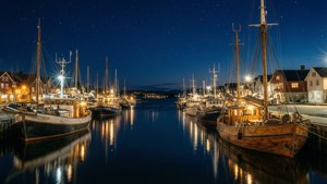 Harbor Night Lights