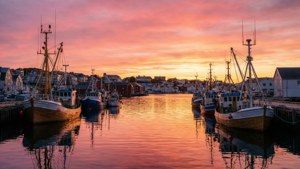 Harbor Sunrise Glow