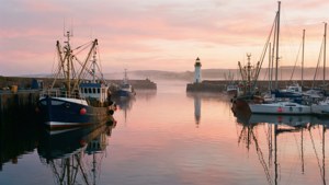 Harbour Dawn