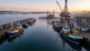 Harbour Dawn