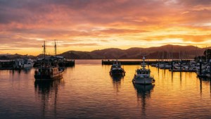 Harbour Golden Hour