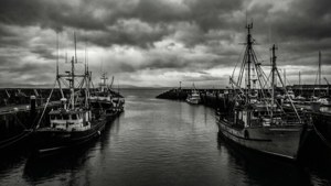 Harbour Monochrome